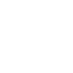 D.A.N.I.A – Herzarbeit-Mentoring – Symbol